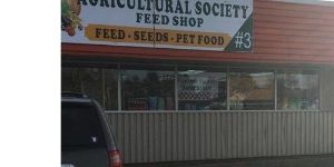 Package of three $10 Certificates to be used toward Black Oil Sunflower bird seed