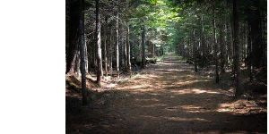 Trail Passes (10 pack)