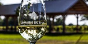 Le Domaine du Ridge Forfait Le Curieux