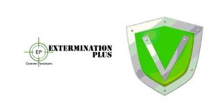Service bouclier vert