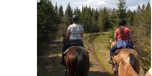 Trail Ride