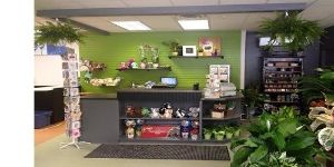 $50 Certificate toward Flower Arrangements