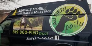 Applicable sur toilettage pour animaux
