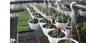 10" Floral Hanging Basket