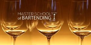 Bartending.com Limited time offer: One hour Live Master wine