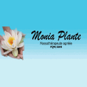 Monia Plante Massothérapeute Agréée