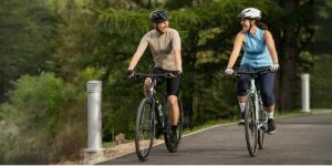 Momo Sports Mise au Point Annuelle de Vélo