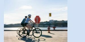 Momo Sports Mise au Point Annuelle de Vélo