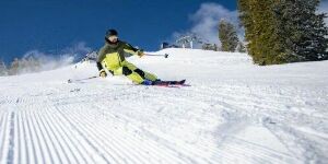 Momo Sports Mise au point skis alpins