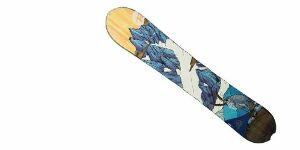 Sports Trans-Action Planche à neige Rossignol Xavier De La Rue