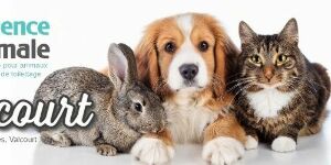 Préférence Animale Valcourt Chèque-cadeau électronique